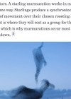 Filename=041-9.jpg
Filesize=104KiB
Dimensions=1080x1080
Date added=Feb 04, 2025 041-9.jpg