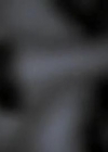 VampireDiariesWorld-dot-org_OnTheDoll3969.jpg