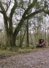 VampireDiariesWorld-dot-nl_NCISNewOrleans7x09-0630.jpg