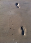 Filename=012.jpg
Filesize=257KiB
Dimensions=1024x1372
Date added=Aug 20, 2012 012.jpg