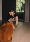 088-2.jpg
