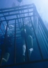 VampireDiariesWorld-dot-nl_47MetersDown1510.jpg