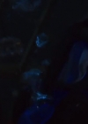 VampireDiariesWorld-dot-nl_47MetersDown1696.jpg