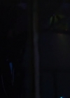 VampireDiariesWorld-dot-nl_47MetersDown2737.jpg