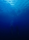 VampireDiariesWorld-dot-nl_47MetersDown4490.jpg