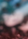 VampireDiariesWorld-dot-nl_47MetersDown4560.jpg