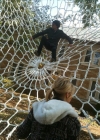 Filename=021.jpg
Filesize=84KiB
Dimensions=480x640
Date added=May 01, 2012 021.jpg