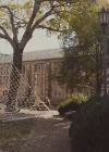 VampireDiariesWorld-dot-Org_BlueLikeJazz2558.jpg