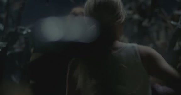 VampireDiairiesWorld-dot-org_TheMessenger2-TheScarecrow4582.jpg VampireDiairiesWorld-dot-org_TheMessenger2-TheScarecrow4582.jpg