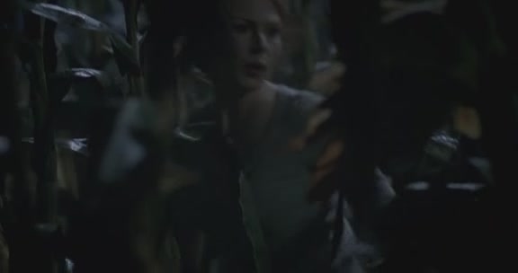 VampireDiairiesWorld-dot-org_TheMessenger2-TheScarecrow4598.jpg