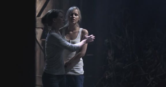 VampireDiairiesWorld-dot-org_TheMessenger2-TheScarecrow5069.jpg