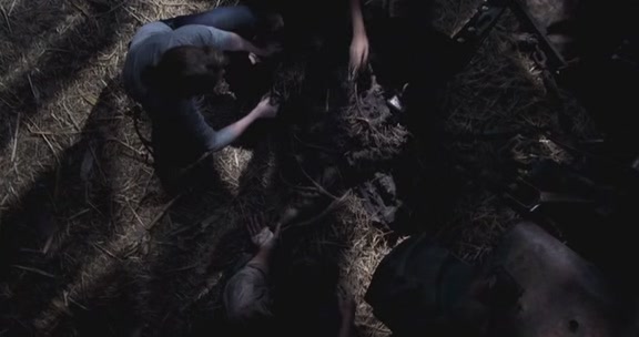 VampireDiairiesWorld-dot-org_TheMessenger2-TheScarecrow5117.jpg