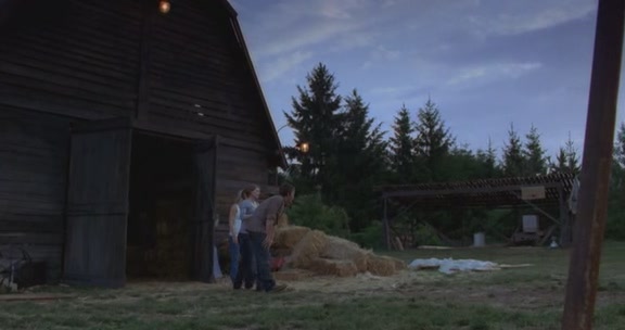 VampireDiairiesWorld-dot-org_TheMessenger2-TheScarecrow5134.jpg