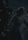 VampireDiairiesWorld-dot-org_TheMessenger2-TheScarecrow4600.jpg