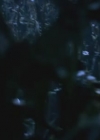 VampireDiairiesWorld-dot-org_TheMessenger2-TheScarecrow4810.jpg