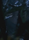 VampireDiairiesWorld-dot-org_TheMessenger2-TheScarecrow4811.jpg