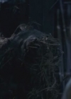 VampireDiairiesWorld-dot-org_TheMessenger2-TheScarecrow4948.jpg