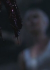 VampireDiairiesWorld-dot-org_TheMessenger2-TheScarecrow4962.jpg