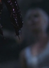 VampireDiairiesWorld-dot-org_TheMessenger2-TheScarecrow4963.jpg