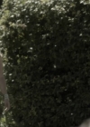 VampireDiariesWorld-dot-org_Aquarius1x03-0731.jpg