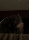 Filename=VampireDiariesWorld-dot-NL-Aquarius2x04-0650.jpg
Filesize=76KiB
Dimensions=624x352
Date added=Oct 21, 2016 VampireDiariesWorld-dot-NL-Aquarius2x04-0650.jpg