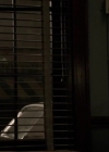 Filename=VampireDiariesWorld-dot-NL-Aquarius2x11-2180.jpg
Filesize=124KiB
Dimensions=720x404
Date added=Oct 21, 2016 VampireDiariesWorld-dot-NL-Aquarius2x11-2180.jpg