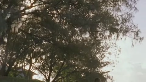 VampireDiariesWorld-dot-Org_H2OJustAddWaterS01E08-2576.jpg