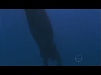 VampireDiariesWorld-dot-Org_H2OJustAddWaterS01E23-2561.jpg