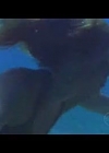 VampireDiariesWorld-dot-Org_H2OJustAddWaterS01E23-2503.jpg