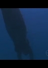 VampireDiariesWorld-dot-Org_H2OJustAddWaterS01E23-2561.jpg