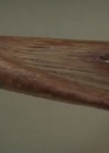 VampireDiariesWorld-dot-Org_H2OJustAddWaterS2E17-0983.jpg