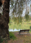 Filename=021-5.jpg
Filesize=444KiB
Dimensions=1080x1080
Date added=Jan 12, 2023 021-5.jpg
