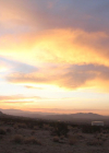 Filename=022-8.jpg
Filesize=49KiB
Dimensions=1080x721
Date added=Jan 12, 2023 022-8.jpg