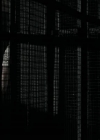 VampireDiariesWorld_dot_nl-Captivity3431.jpg