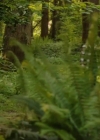 VampireDiariesWorld-dot-nl_TheLostWifeofRobertD00872.jpg