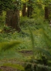 VampireDiariesWorld-dot-nl_TheLostWifeofRobertD00874.jpg