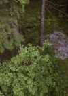 VampireDiariesWorld-dot-nl_TheLostWifeofRobertD00937.jpg