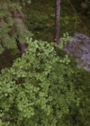 VampireDiariesWorld-dot-nl_TheLostWifeofRobertD00939.jpg