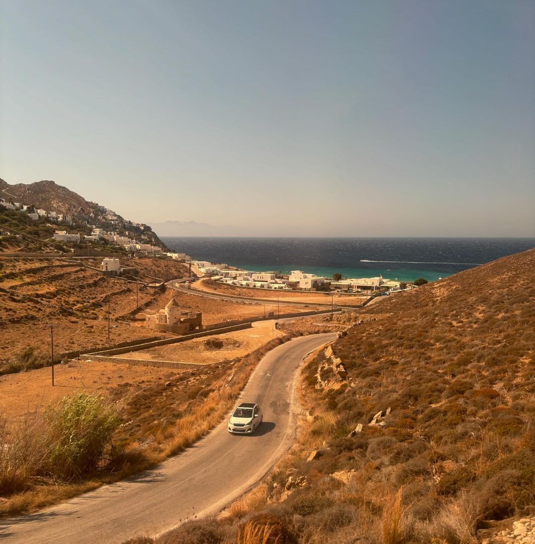 003-2.jpg