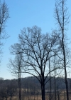 020-7.jpg
