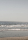 046-5.jpg
