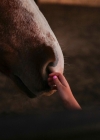 Filename=2024-028-2.jpg
Filesize=87KiB
Dimensions=1080x1350
Date added=Feb 04, 2025 2024-028-2.jpg