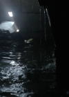 VampireDiariesWorld-dot-nl_LostCityRaiders0835.jpg