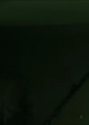 VampireDiariesWorld-dot-org_TheAnomaly3899.jpg