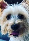 Filename=013.jpg
Filesize=156KiB
Dimensions=1080x1080
Date added=Jul 05, 2019 013.jpg