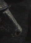 VampireDiariesWorld-dot-org-Immortals1039.jpg