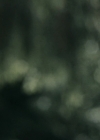 VampireDiariesWorld-dot-nl_OpenGrave1589.jpg