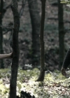 VampireDiariesWorld-dot-nl_OpenGrave2736.jpg