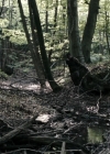 VampireDiariesWorld-dot-nl_OpenGrave2741.jpg