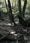 VampireDiariesWorld-dot-nl_OpenGrave2742.jpg